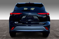 2.5 L 4 Cyl Engine Vehicle Options: Leather Interior, Panoramic Roof, 360 Degree Camera, Heads-up Di... (image 3)