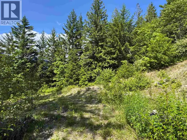 7505 PEBBLE CREEK DRIVE Pemberton, British Columbia in Land for Sale in Whistler - Image 13