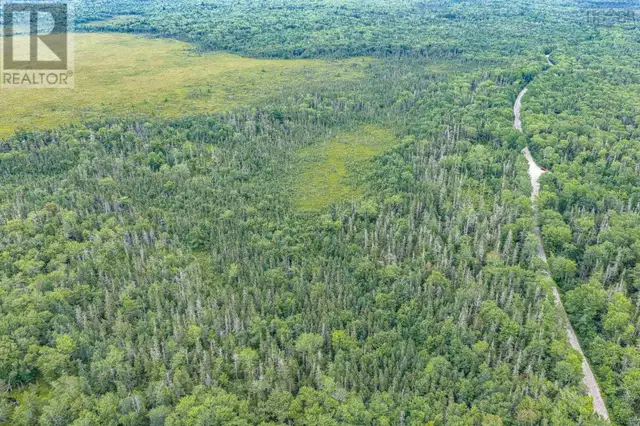 TBD Canada Hill Road Allendale, Nova Scotia in Land for Sale in Yarmouth - Image 26