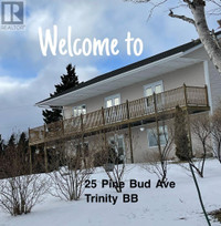 25 Pinebud Avenue Trinity, Newfoundland & Labrador