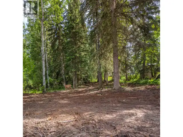 LOT 81 MULLIGAN DRIVE Horse Lake, British Columbia in Land for Sale in 100 Mile House - Image 3