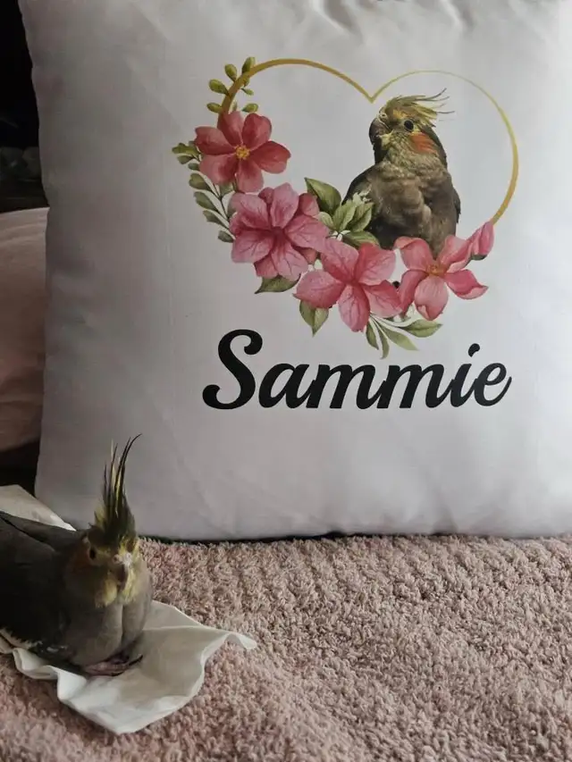 Custom Pillows64700584553347122