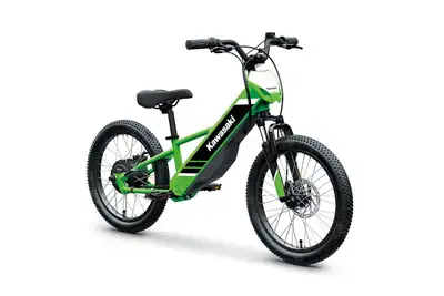 From the Kawasaki global powersports brand comes the Elektrode 20 and the Elektrode 20FS electric ba...