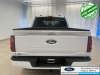 When you choose Ford, you choose adventure. Rain or shine, it’s time to rediscover things you love w... (image 6)