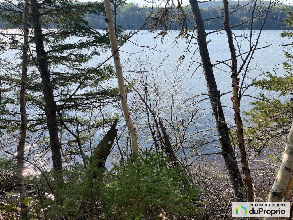 $297,000 - Residential Lot for sale in St-Roch-De-Mekinac — photo 3