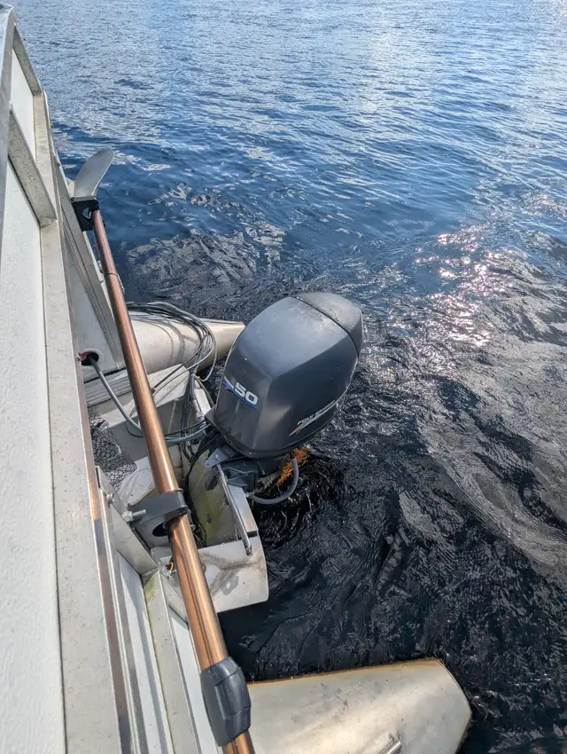 PONTON 22 pieds in Powerboats & Motorboats in Shawinigan - Image 7