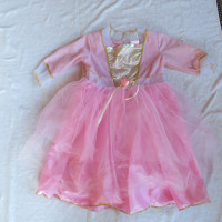 Twinkler Rose Princess Dress Costume and Wand