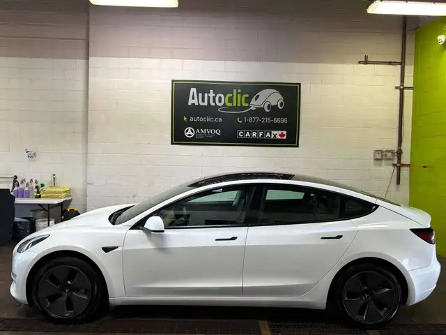 2021 Tesla Model 3 Standard Range Plus559731744535357444