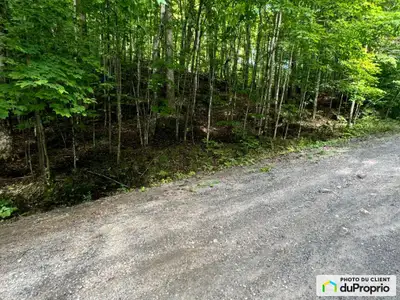 Traduction automatique Vues magnifiques, construisez votre maison au sommet d'une montagne 7,8 acres...
