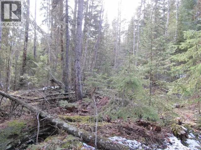 LOT A CANIM-HENDRIX LAKE ROAD Canim Lake, British Columbia in Land for Sale in 100 Mile House - Image 26