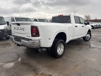 DUAL REAR WHEELS -inc: Clearance Lamps Tires: LT235/80R17E BSW All-Season 17 Steel Spare Wheel Box &... (image 4)