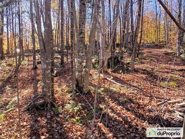 $197,500 - Residential Lot for sale in Orford — photo 2