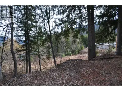 Development property. So many options for this 4.9 acre parcel just outside of the City limits. This...