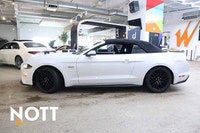 Key features: 5.0L V8 Performance, Performance Package Level 1, Leather Heated & Ventilated Front Se... (image 1)