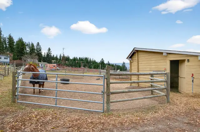 5 acre Horse property in Houses for Sale in Kamloops - Image 4
