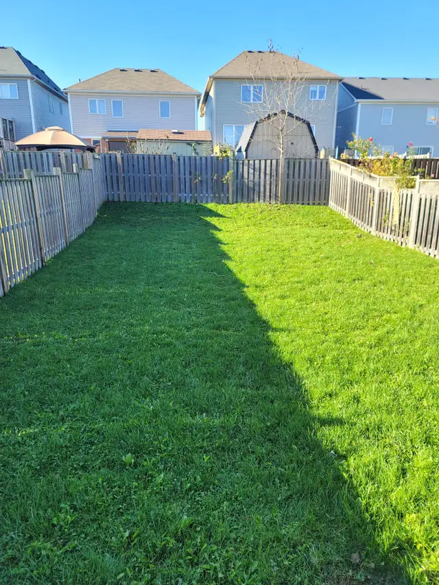 Spacious 4-Bedroom Family Home Across from the Park! in Long Term Rentals in Brantford - Image 28
