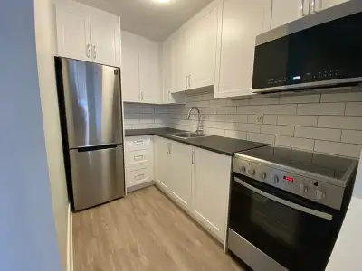 Fully renovated and spacious suites with modern open concept kitchen featuring chrome accents, new s...