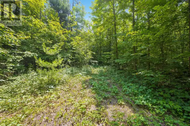 PT LT 40 HORSESHOE VALLEY ROAD W Oro-Medonte (Craighurst), Ontar in Land for Sale in Barrie - Image 11