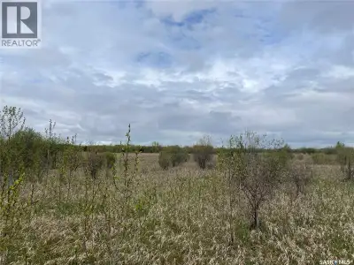 This 40 acre parcel (lot 4) is located 5.5km South of Dorintosh. A perfect place to build your forev...