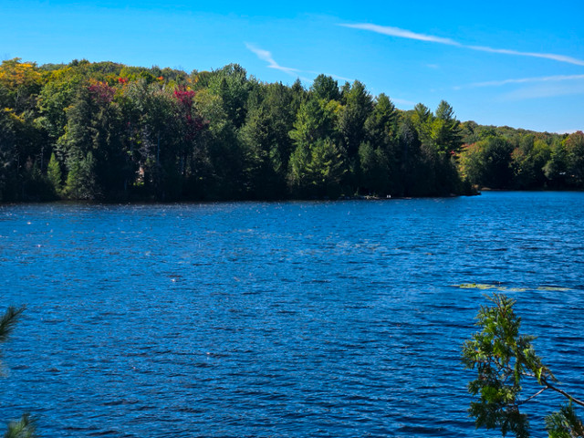 Domaine boisé 12 269 861 pieds carrés à Rawdon dans Terrains à vendre  à Lanaudière