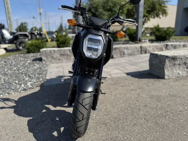 2025 Honda MSX125 Grom ABS in Street, Cruisers & Choppers in Kitchener / Waterloo - Image 9