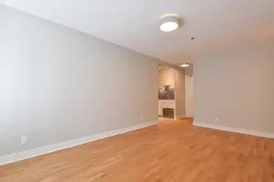 renovated one bedroom apartment on Aylmer near McGill - ID 3850