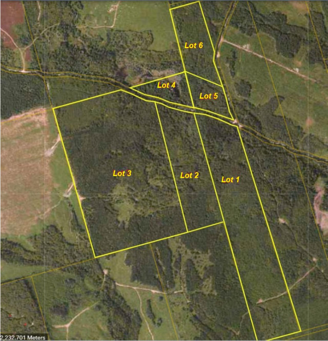 Lisson Settlement Rd. (Lot 1), Lisson Settlement in Land for Sale in Saint John - Image 3