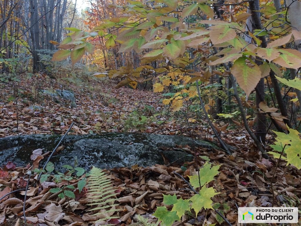 $800,000 - Wood Lot for sale in Ste-Julienne — photo 3