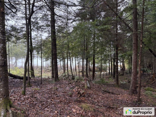 $395,000 - Residential Lot for sale in La Conception — photo 3