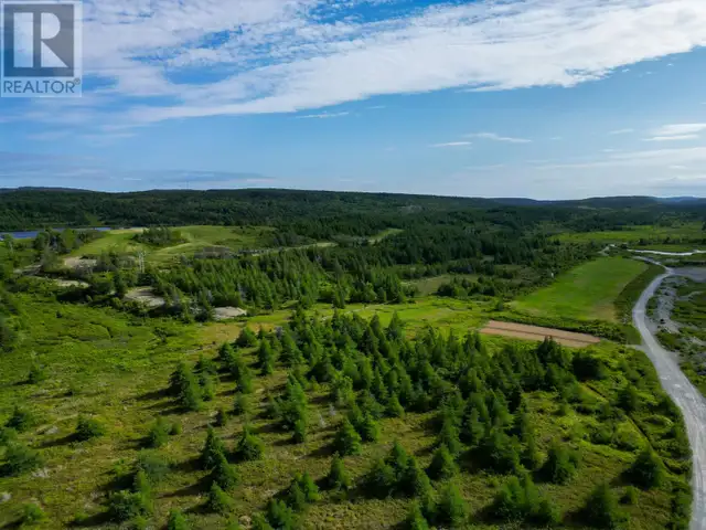 0 Picketts Road Conception Bay North, Newfoundland & Labrador62864386135298124