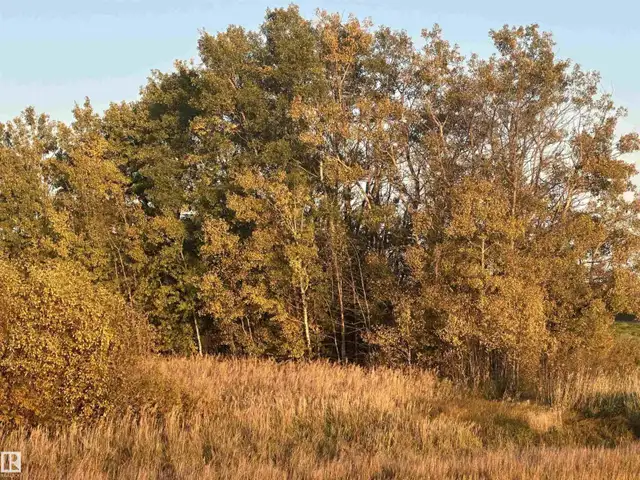 Range Road 225 @ township 612 Rural Thorhild County, Alberta in Land for Sale in Edmonton - Image 3