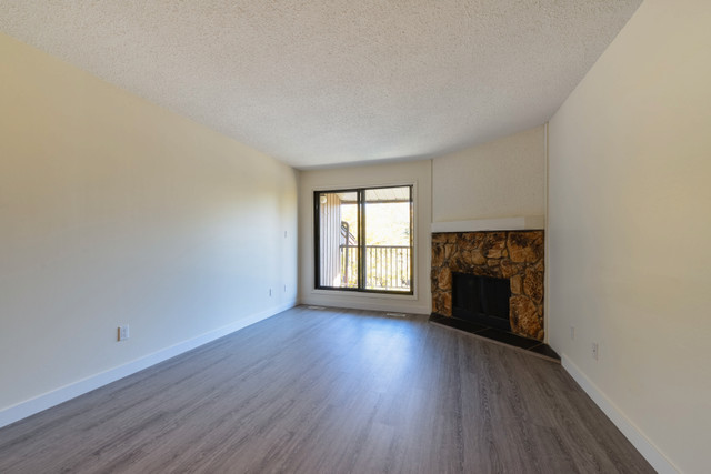 2 Bedroom - 12004 162 Ave. NW in Long Term Rentals in Edmonton - Image 3