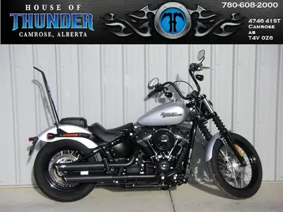 The Street Bob® motorcycle gives you the two-fists-in-the-wind riding experience stripped down to th...