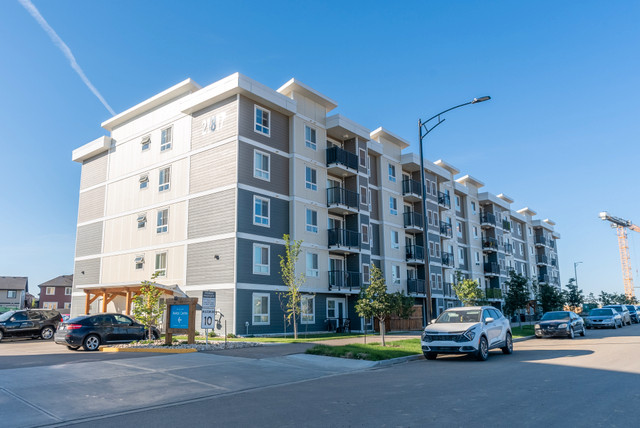 Pet-Friendly Two Bedroom One Bath with In-suite Laundry for Rent in Long Term Rentals in Edmonton - Image 2