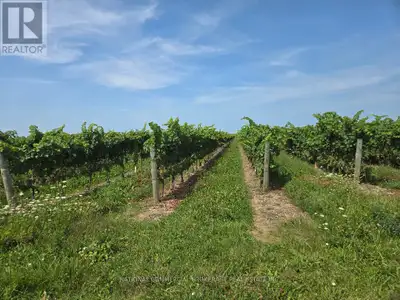 Fantastic and very unique Vineyard 40.091 acres in Niagara -On-The-Lake situated within Four Mile Cr...