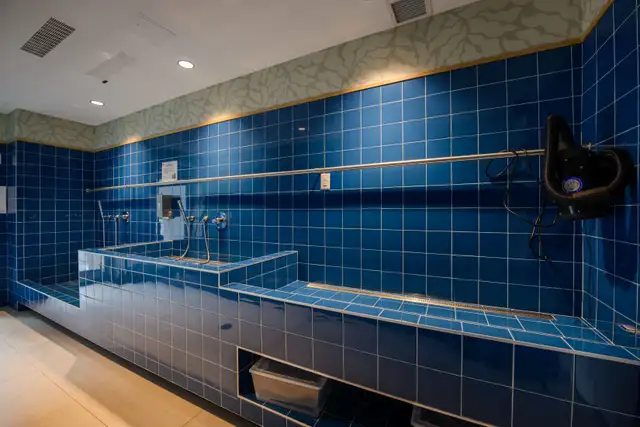 Story of Midtown Toronto New 1 Bed 1 Bath | Welcome Incentives A in Long Term Rentals in City of Toronto - Image 24