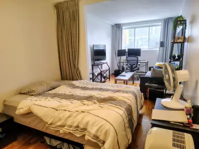 1ER JUILLET -  3 1/2 MÉTRO PIE-IX, ÉLECTROS+STATIONNEMENT, View more
