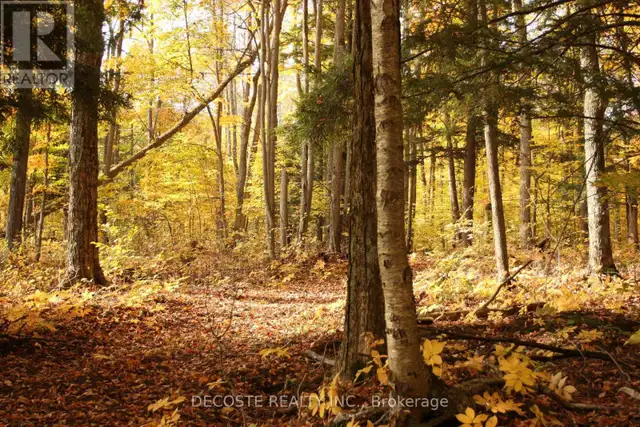 0000 COUNTY 43 ROAD North Glengarry, Ontario in Land for Sale in Ottawa - Image 25