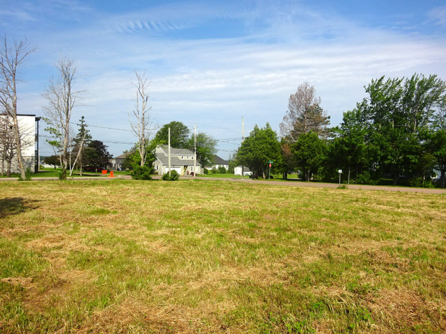 X Large Building Lot! Gallagher St! Partial View of the Water! in Land for Sale in Moncton - Image 3