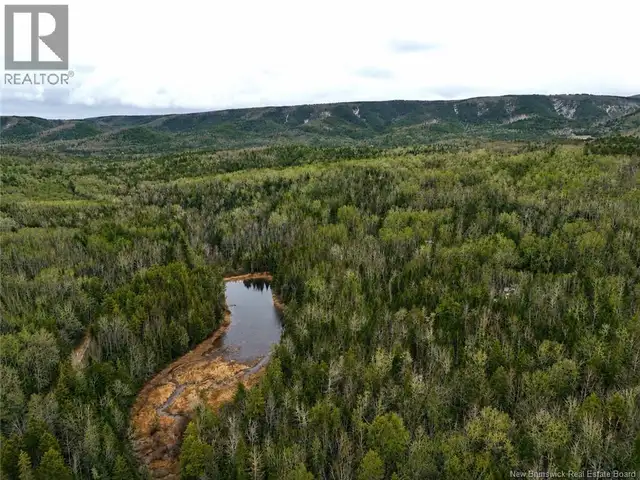 Lot Shaw Road Shenstone, New Brunswick in Land for Sale in Moncton - Image 2