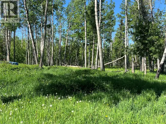 3466 218 Road Dawson Creek, British Columbia in Houses for Sale in Dawson Creek - Image 23