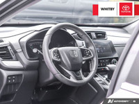 Engine: 4 Cylinder Engine 1.5L L/100Km City: 8.7 L/100Km Hwy: 7.4 (image 6)
