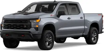 Recent Arrival! 2024 Chevrolet Silverado 1500 Custom Trail Boss Crew Cab Trail Boss | 5.3L V8 | Zack...