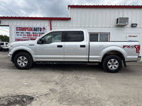 XLT | 4X4 | FX4 | Alloys | 6 Passenger | Running Boards Look at this 2016 Ford F-150 . Its transmiss... (image 4)