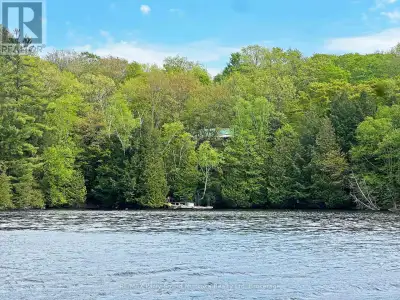470 ft WATERFRONT ON SPRING FED OTTER LAKE! 4.1 acres of privacy! Affordable, Boat Access Starter Co...