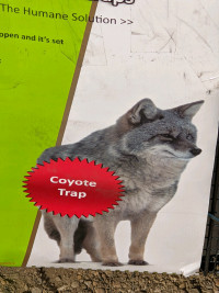Coyote trap. Large live animal trap