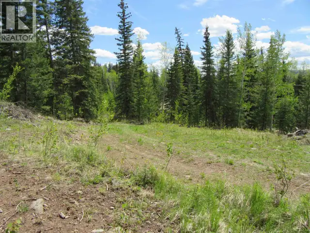 LOT 4 N BONAPARTE ROAD Bridge Lake, British Columbia in Houses for Sale in 100 Mile House - Image 28