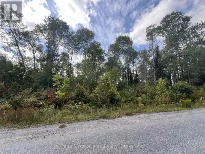 Nice level 5 acre lot for sale just outside River Valley. Excellent area for outdoor activities and...