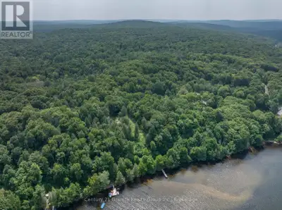 Build Your Dream Retreat on Haliburton Lake - Discover the perfect setting for your future cottage o...