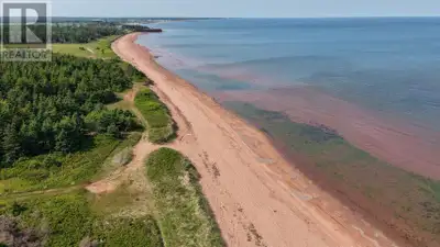 Large oceanfront lots with wide sandy beaches and year-round access are becoming exceptionally diffi...
